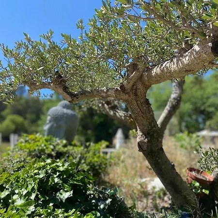 La Vie Est Belle En Provence 툴브스