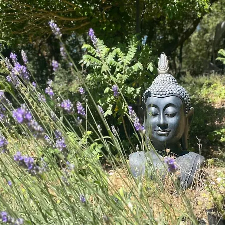 La Vie Est Belle En Provence Tourves